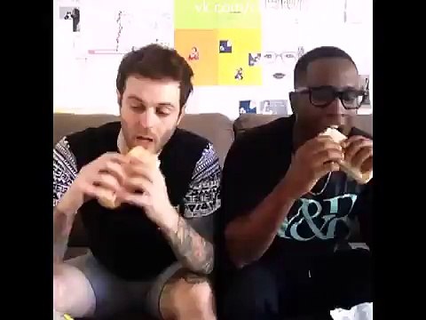 Взгляд собаки , когда вы кушаете Curtis Lepore (Vine)