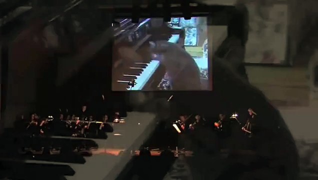 Кот играет на пианино