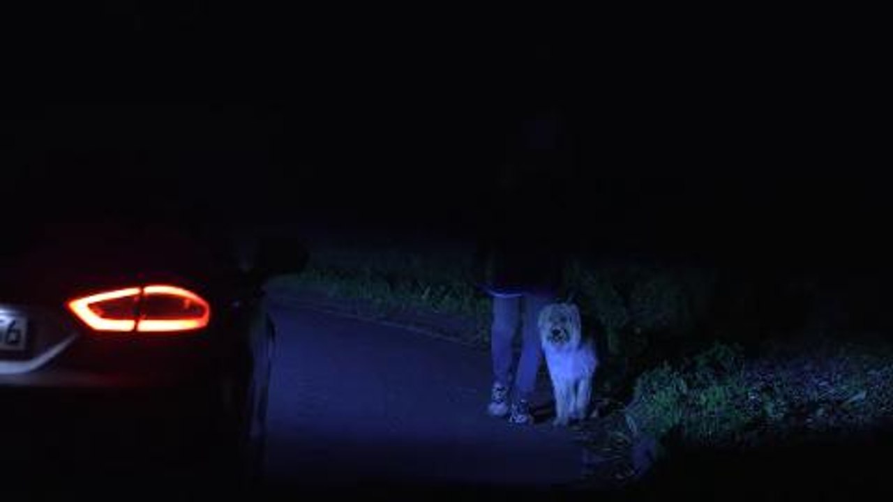 The new car headlights that can see roundabouts and spotlight deer