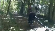 Robot corriendo por el bosque