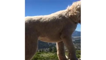 Instagram Video in Landscape - Examples