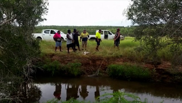 Un crocodile attaque une femme de 68 ans en Australie