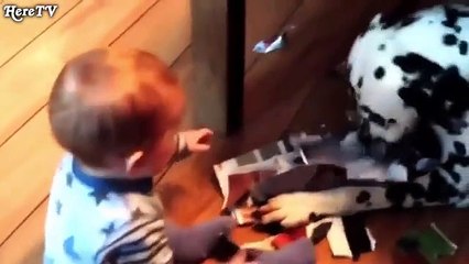 Cute Funny baby videos laughs that make you laugh