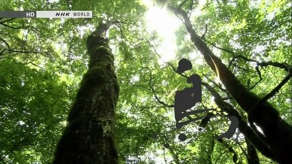 Lake Mashu Hokkaido Japan (Full HD)