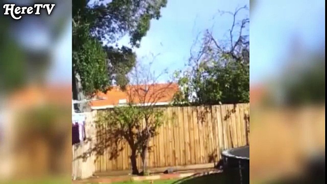 Most funny Videos  FAILS Compilation 2016