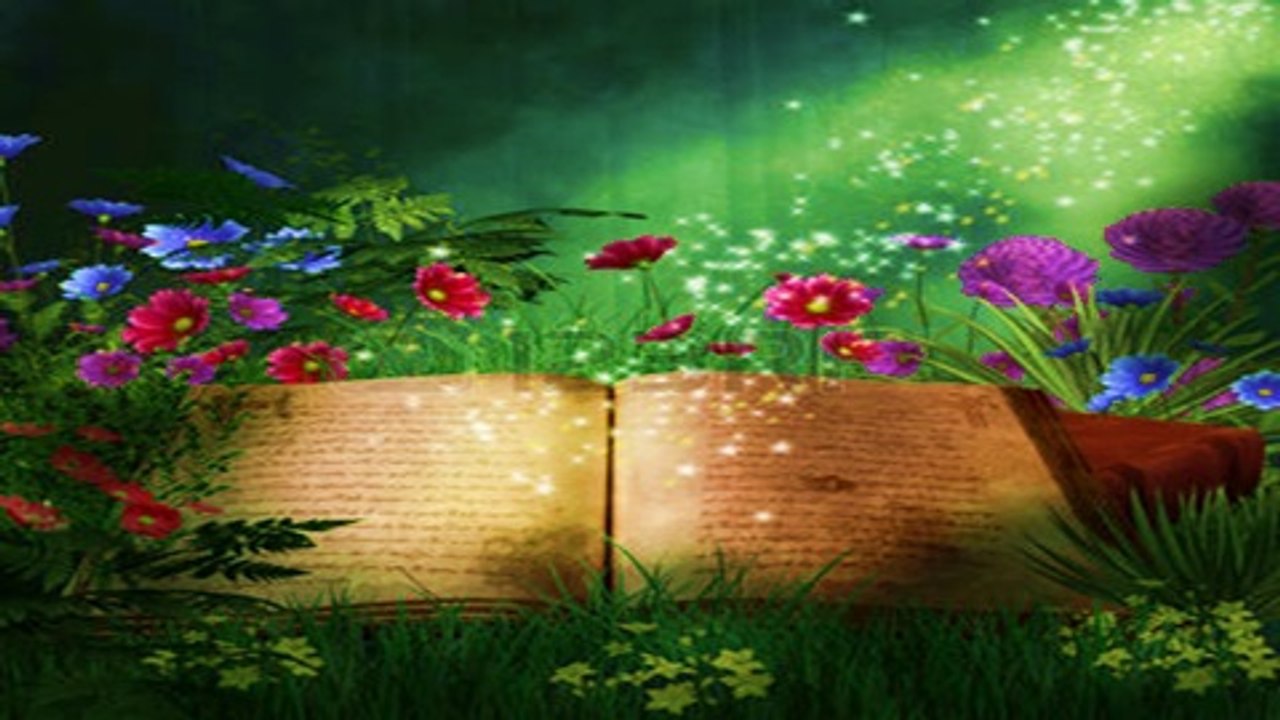 GÖRÜNTÜLÜ KURAN - BELED SURESİ