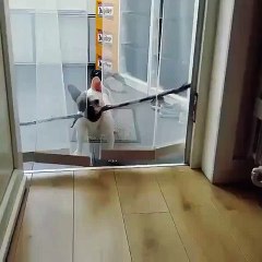 I need this stick inside, human! a little help please_ _Mix Maza 2016