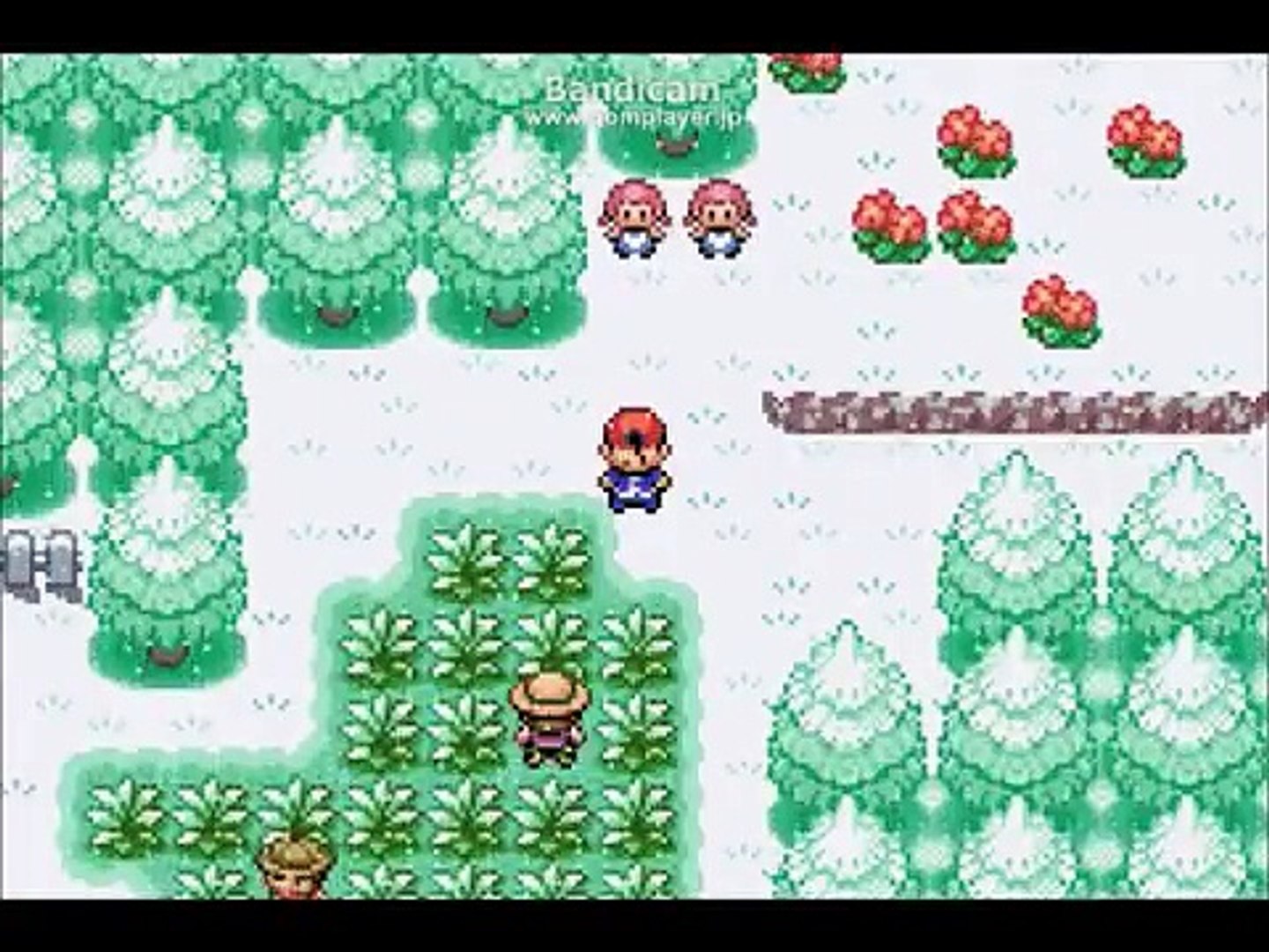 ポケモン ベガ 伝説 イメージポケモンコレクション