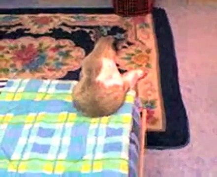 А что сижу никого не трогаю))