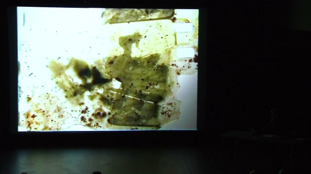 Jean-Yves Jouannais | L'encyclopédie des guerres (71)