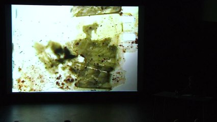 Jean-Yves Jouannais | L'encyclopédie des guerres (71)