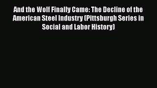 Read And the Wolf Finally Came: The Decline of the American Steel Industry (Pittsburgh Series