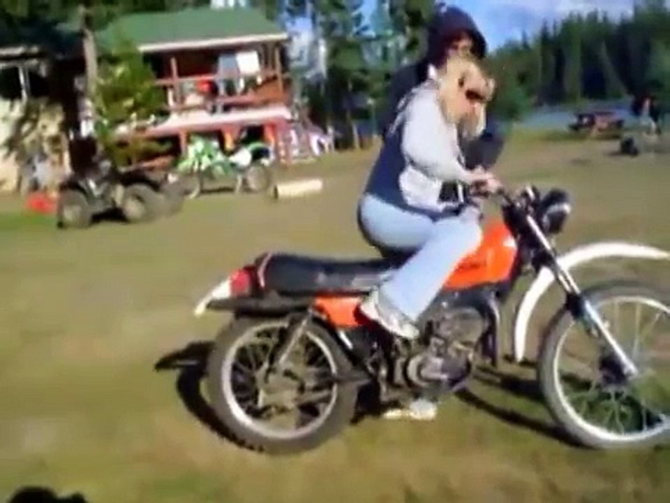 Moto Lustig 2