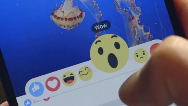 Botón Reacciones de Facebook