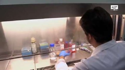 La Universidad de Granada patenta un fármaco contra el cáncer