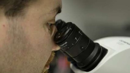 Unas bacterias podrían neutralizar gases de efecto invernadero