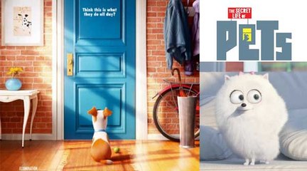 The Secret Life of Pets Official 'Snowball' Trailer (2016)  HD