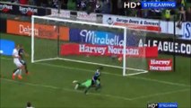 Melbourne Victory 4-0 Brisbane Roar - All Goals - Australian A-League -  15.1.2016