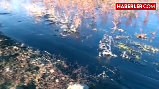 Şanlıurfa'da Petrol Boru Hattı Delindi