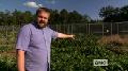 Robert Kirkman on the The Walking Dead Season 4 Set (HD)