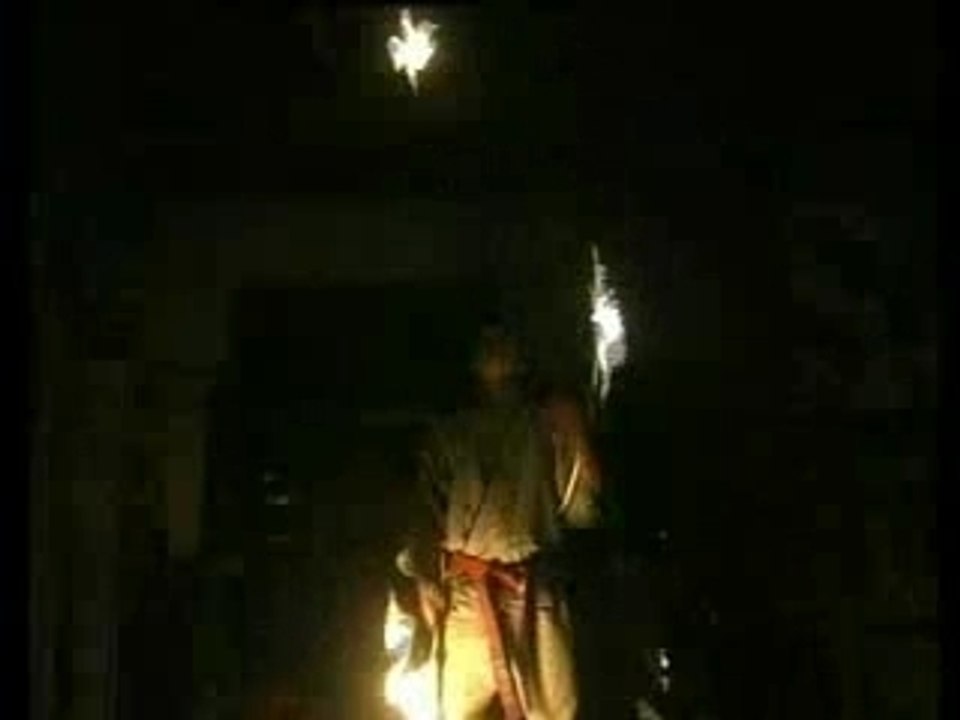 NINJA L'art secret du nin-jutsu