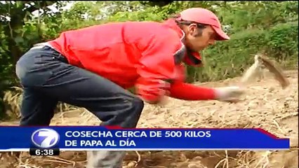 tn7-agricultor-cartago-150116