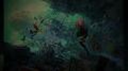 Nuevo Gravity Rush