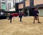 Virender Sehwag playing cricket with WWE Superstar Dolph Ziggler and Charlotte