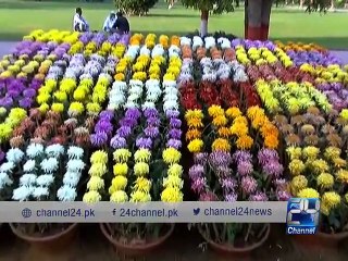 Gul e Dawoodi exhibition