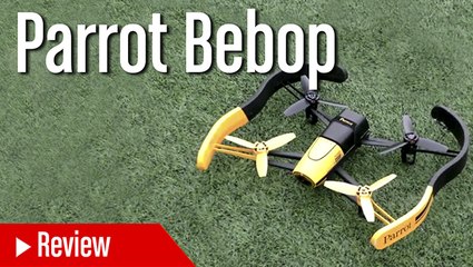 Análisis Parrot Bebop