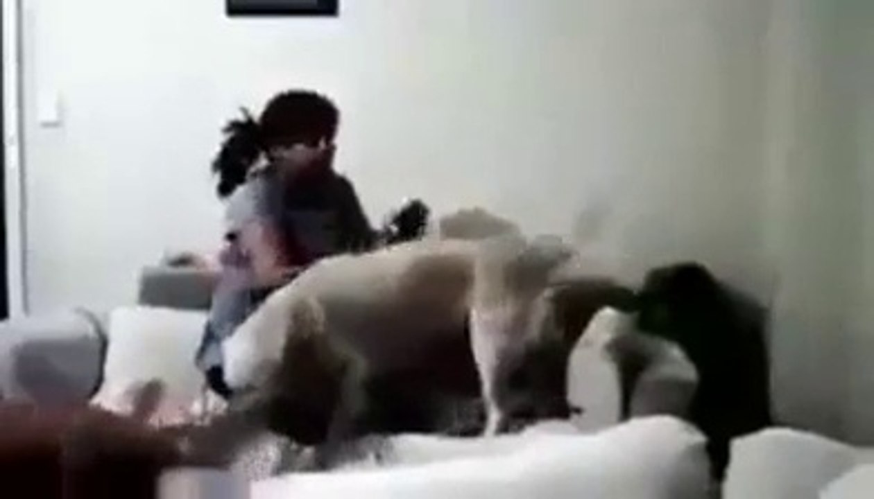 even animals stand against cruelty