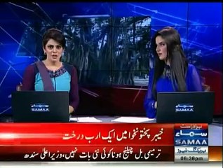 KPK growing trees but Punjab is growing Metros instead of trees ,WWF has declared Billion Trees campaign as successful  Imran Khan