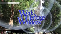 Sacred Sites & Pilgrimage Routes in the Kii Mountain Range (Full HD)