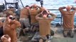 Iran arrested a american navy sailors being detained in the Persian gulf