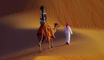 Explore Liwa with Google Maps