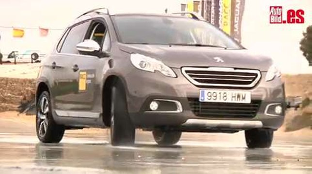 RACC Salir sin patinar