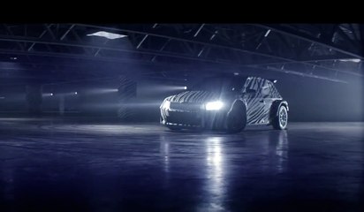 ŠKODA Fabia R 5