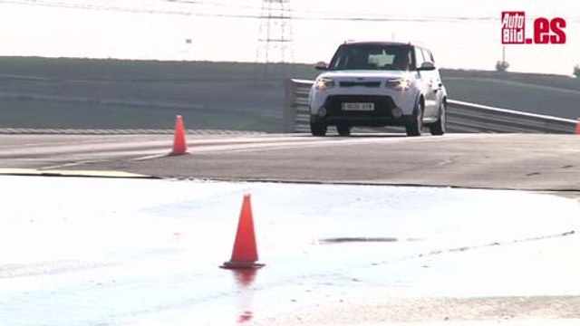 RACC Frenar con Nieve