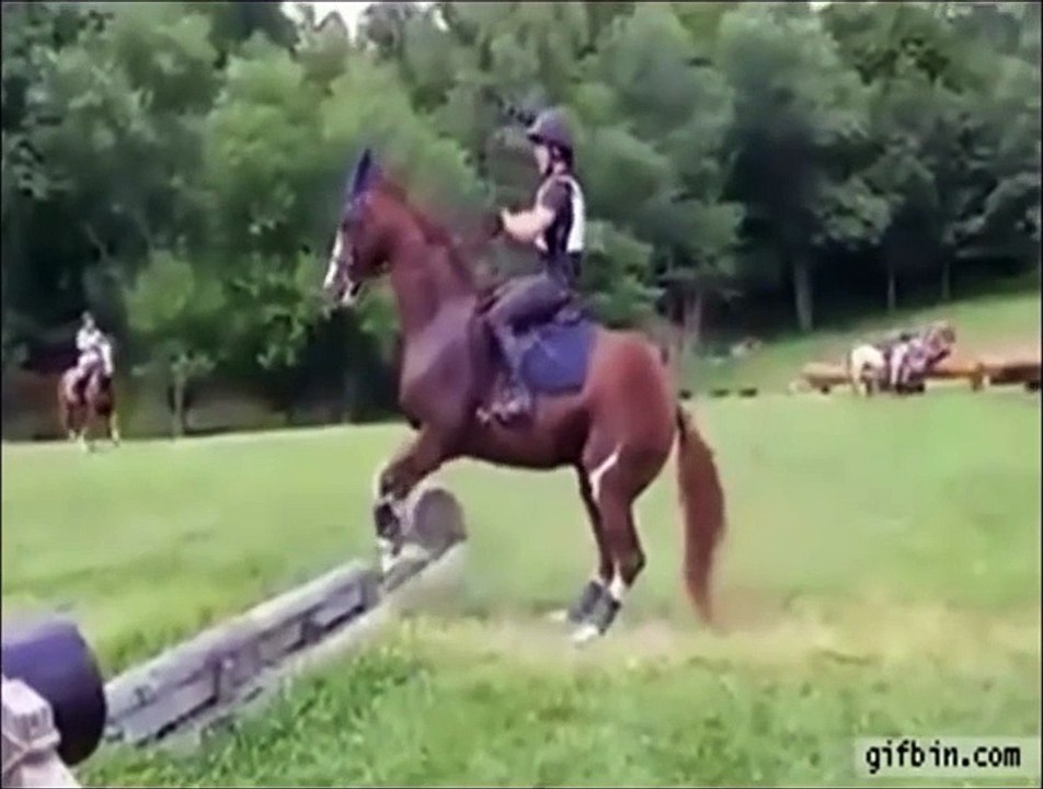 Funny & HOT Video Clip Mix !!! Funny FAILS Funny Stupid People & Animals by Playandfun