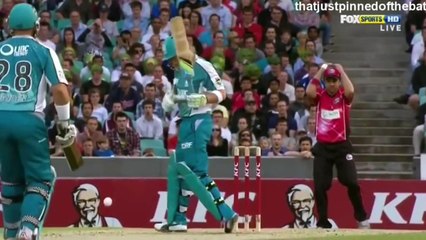 BRUTAL Injuries In Cricket History!