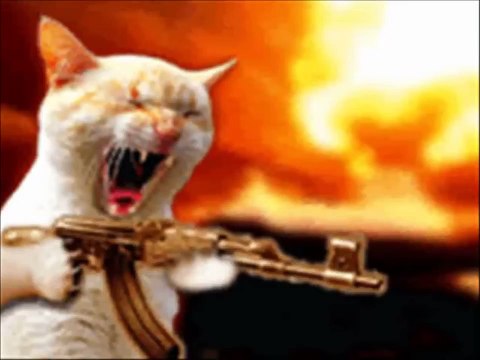 Funny and Cute Animals 2015 Video Clips !!! Funny Cats Dogs Funny Animals Fails