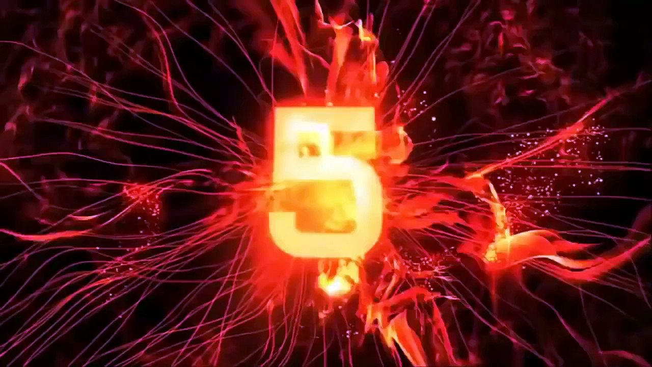 Funny Cats love vacuum cleaner - Funny Animals