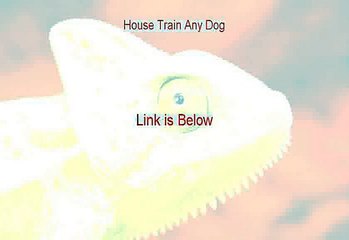 House Train Any Dog Review - PDF