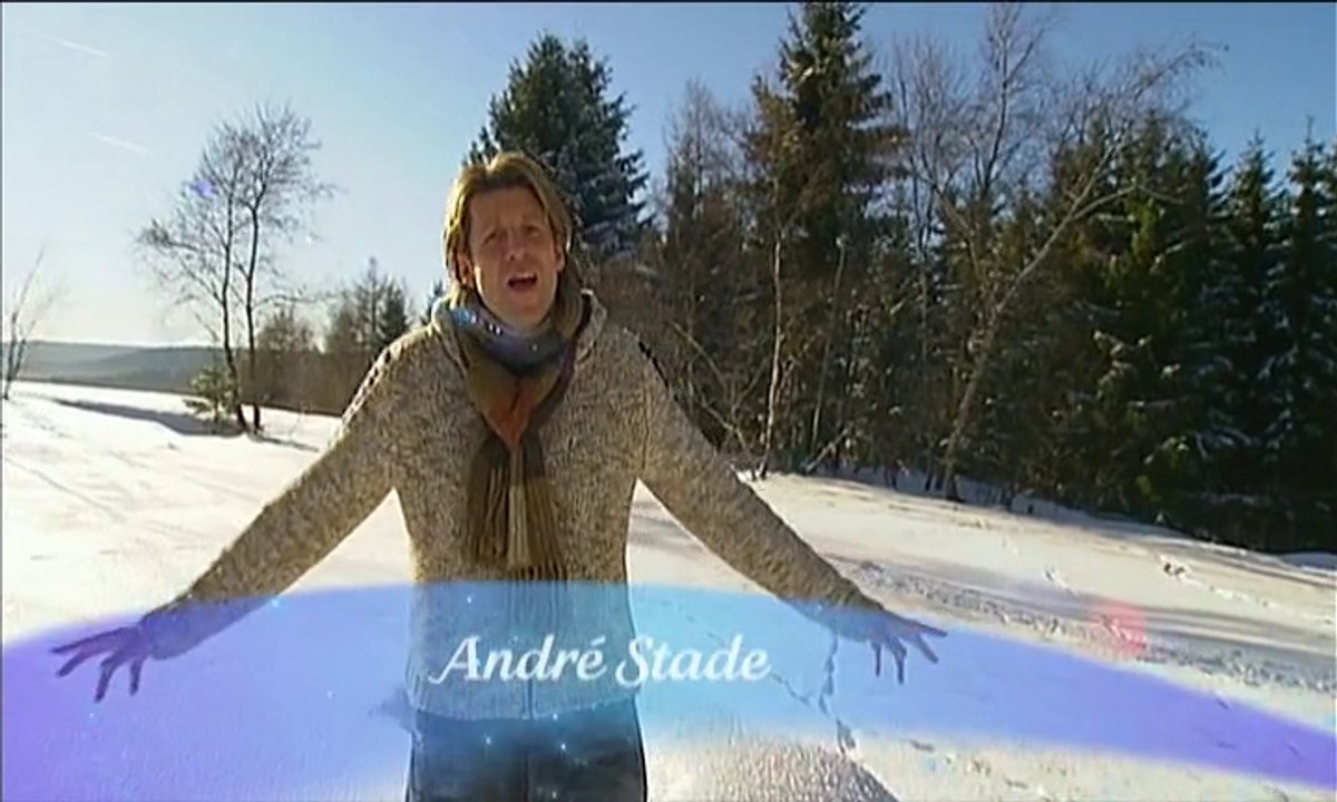 André Stade - Schenk deinen Träumen wieder Flügel 2008