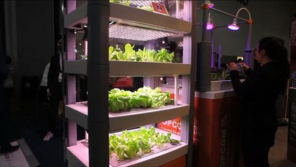 تقنية آلية تسمح بزراعة الخضراوات عبر تطبيق على الهاتف