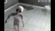 Alien Videos Real Footage - Alive Alien Caught On CCTV