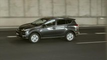 Nuevo Toyota Rav4