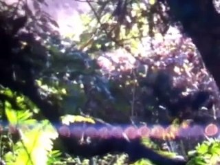 CLEAREST VIDEO FOOTAGE OF REAL ALIEN ACTIVITY EVER RECORDED