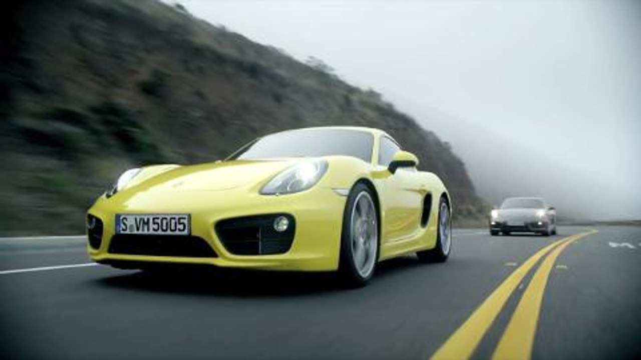 Nuevo Cayman 2013
