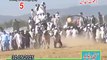 Pakistani Bull Race-Pothwar-Must Watch